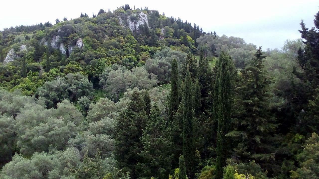 לינה וארוחת בוקר Dafnáta Kostas Walkers Point מראה חיצוני תמונה